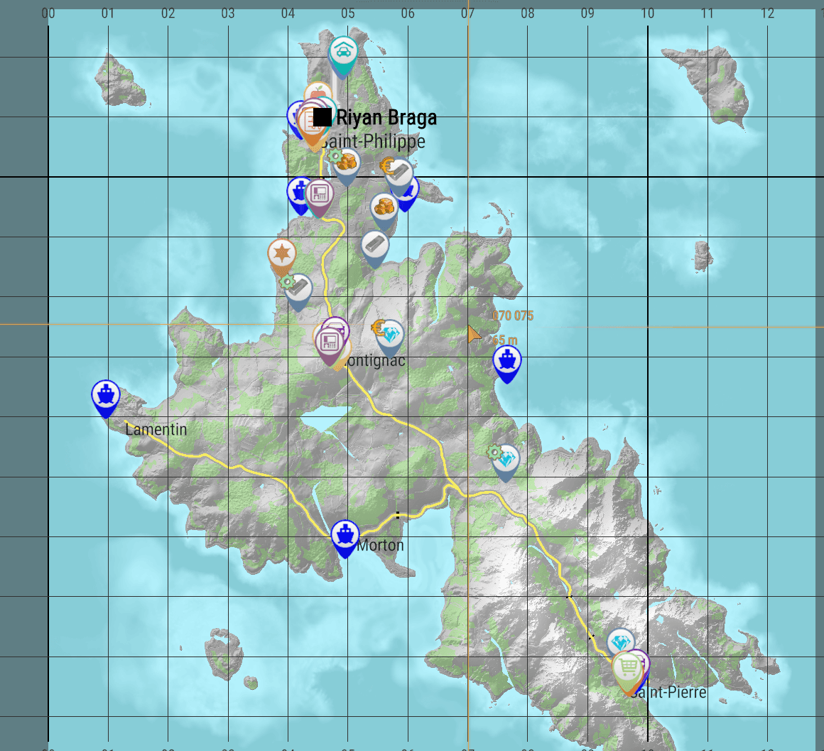 Carte de l'île : marqueurs custom visibles en jeu — shops, farm, traitement.